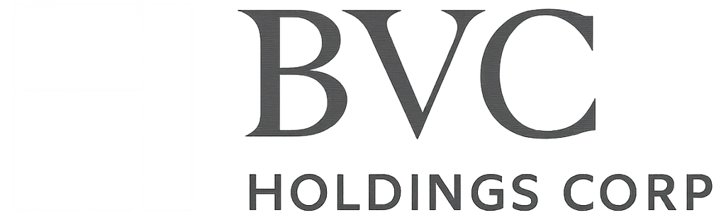 BVC Holdings Corp.